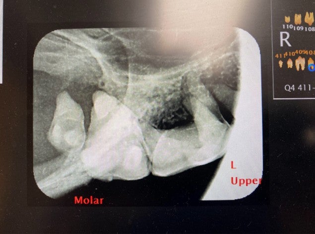 Description of image 2