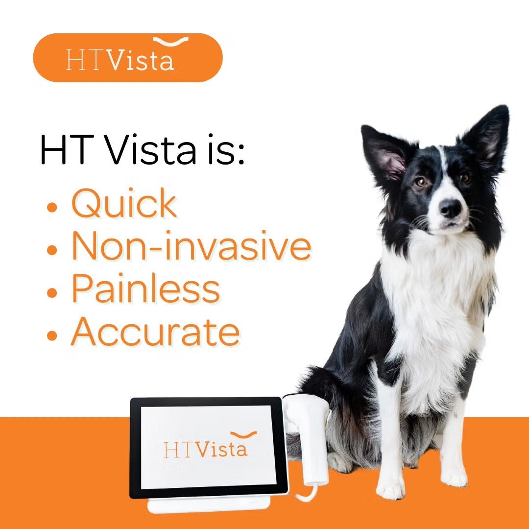 Cancer Detection Tool