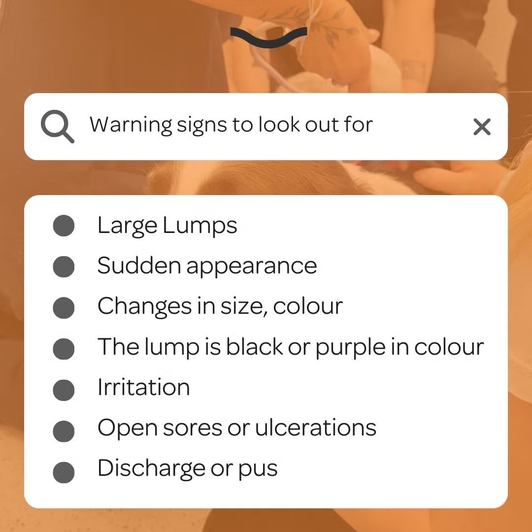 Cancer Detection Tool